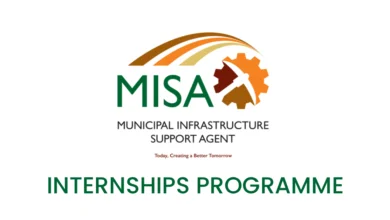 MISA Internships