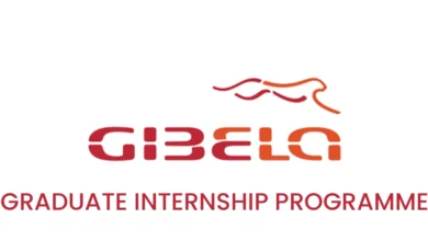 Gibela Graduate Internship Programme