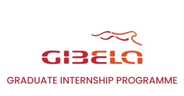 Gibela Graduate Internship Programme