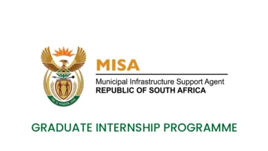 MISA Internship Programme